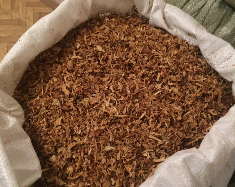 Житель Сочи выращивает табак на развес
