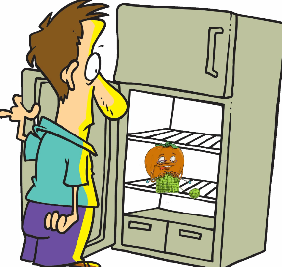 Почему холодильники Либхер так охотно покупают